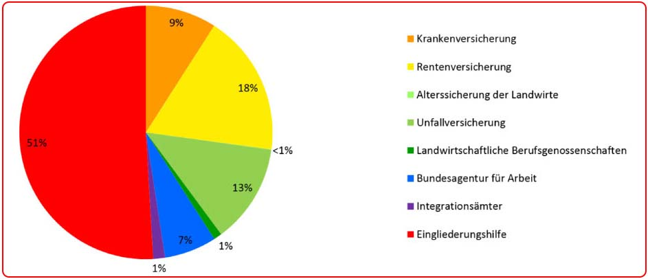 Abb. 2 Ausgaben-Verhältnis der Rehabilitationsträger 2016 (in %).