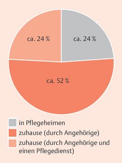 Abbildung 2: Pflegebedürftige nach Versorgungsart, Quelle Destatis 2018.